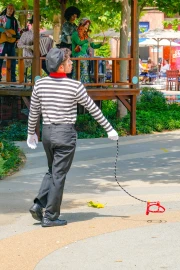 Invisible Dog